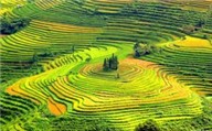 Halong Explorer